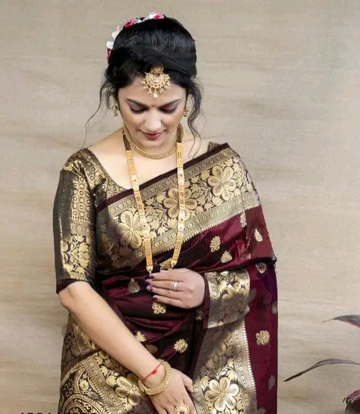 Party bear banarasi saree 